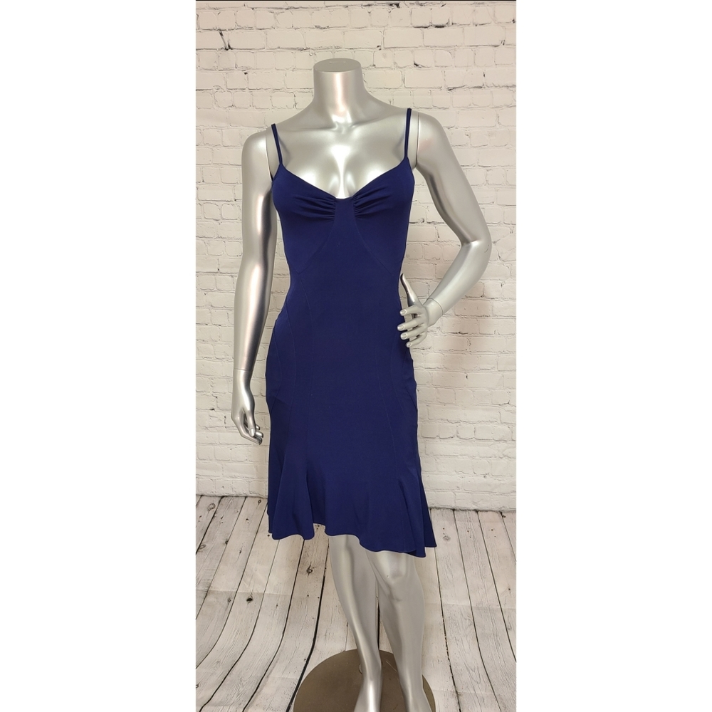 Z Spoke Zac Posen Dress